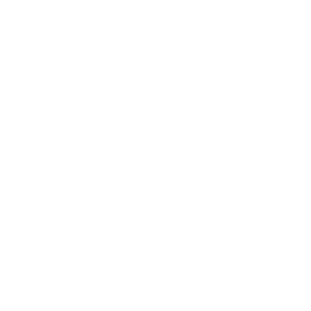 Lucid Lake Institute